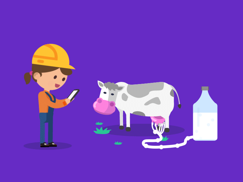 Milk Collection